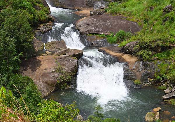 Munnar Vagamon 3  day tour from Vellore